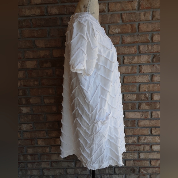 Porridge Clothing Anthropologie Marcelle Chevron Textured V-neck Shift Dress. - Picture 5 of 9